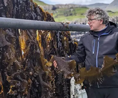 F639ff9a31a3de2a5709062b28c5be4531a2fb68